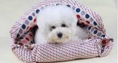 氣溫驟變，謹記寵物保暖工作哦！