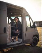 流浪貓私自闖上車被趕出，最后居然搭上順風(fēng)車