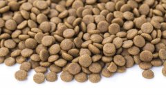 狗糧貓糧怎么儲存，華興寵物食品提示您